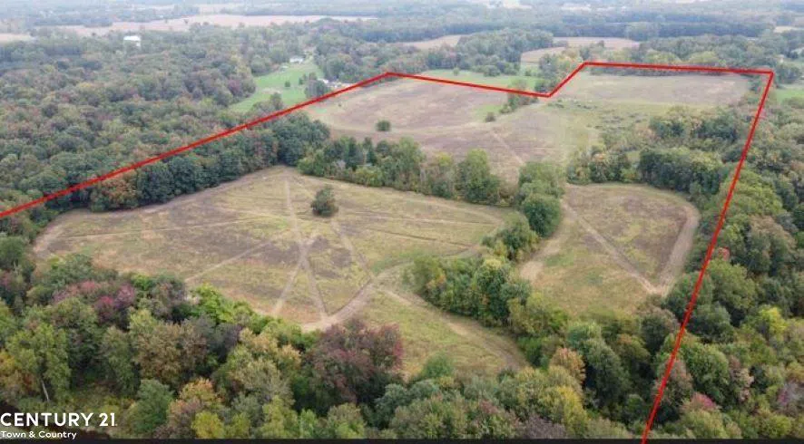 Gale Road Bennington Township, MI 48857