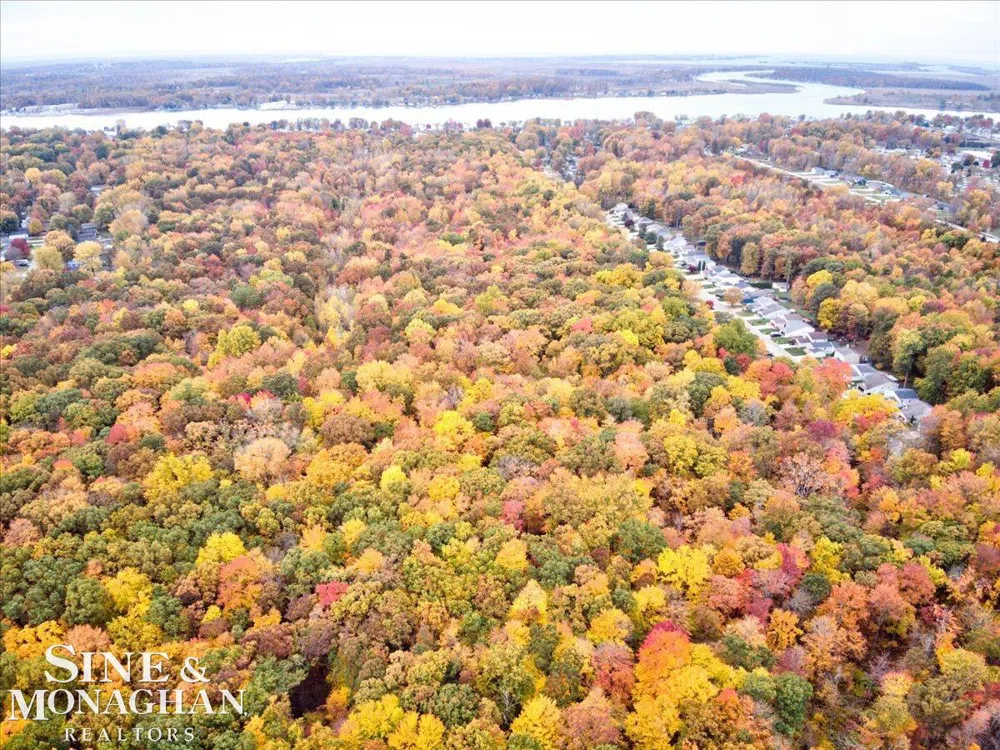 Taft Road Clay Township, MI 48001