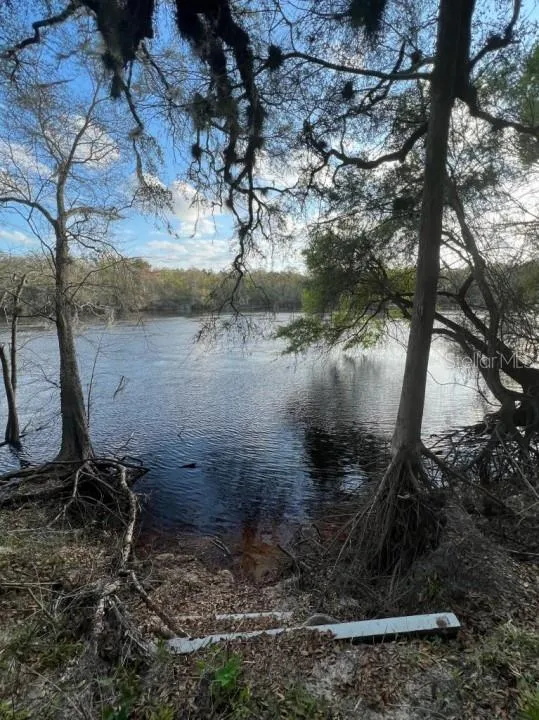 1263 NW 82ND TERRACE Bell, FL 32619