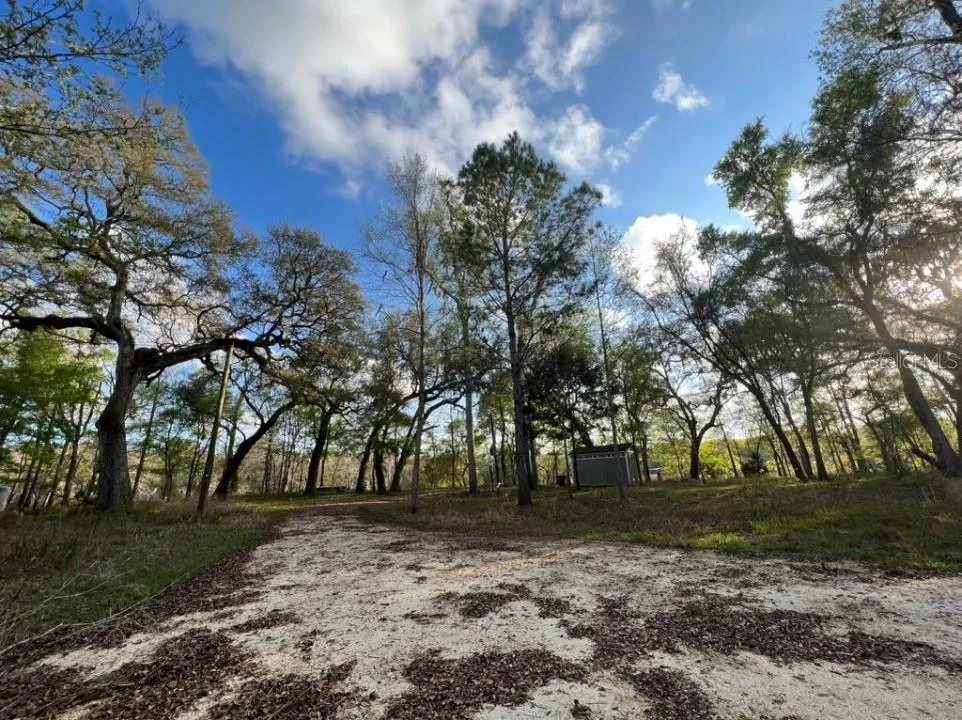 1263 NW 82ND TERRACE Bell, FL 32619