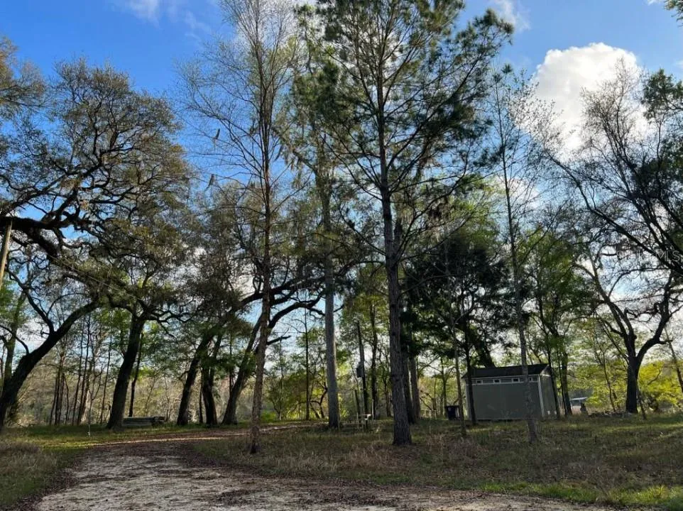 1263 NW 82ND TERRACE Bell, FL 32619