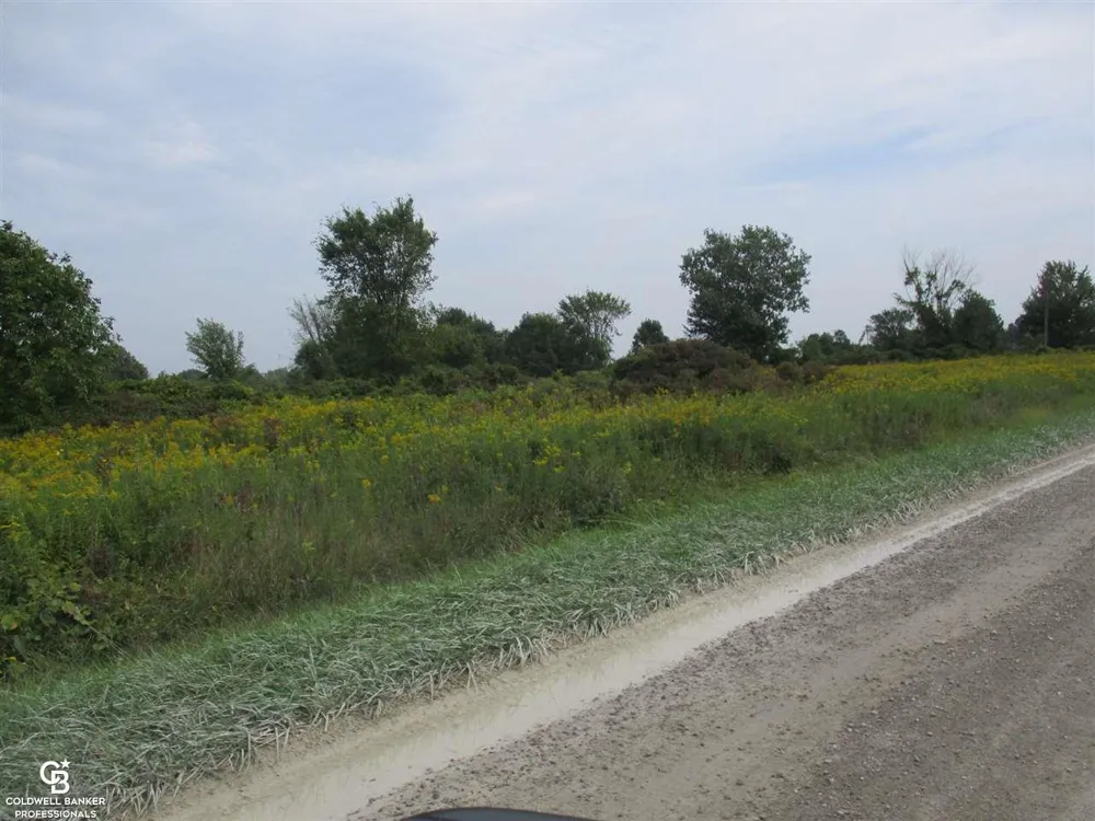 Angling Rd #6 Road Richmond Township, MI 48062