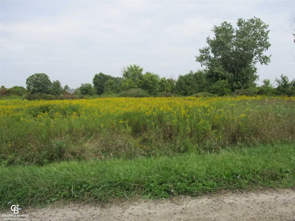 Angling Rd #6 Road Richmond Township, MI 48062