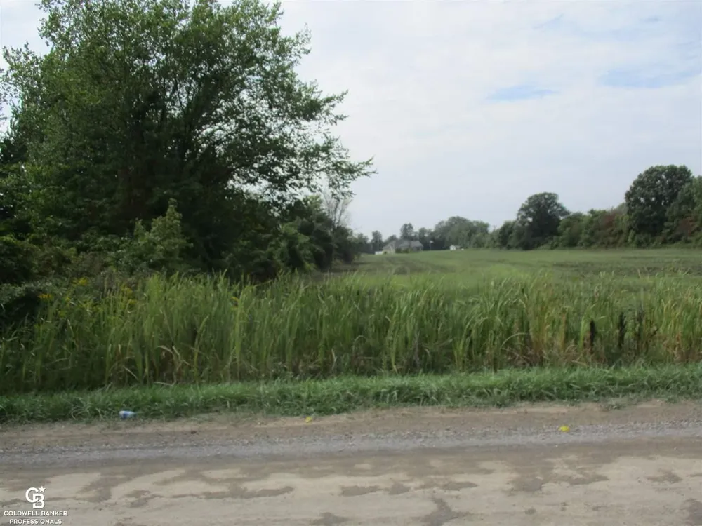 Angling Rd #6 Road Richmond Township, MI 48062