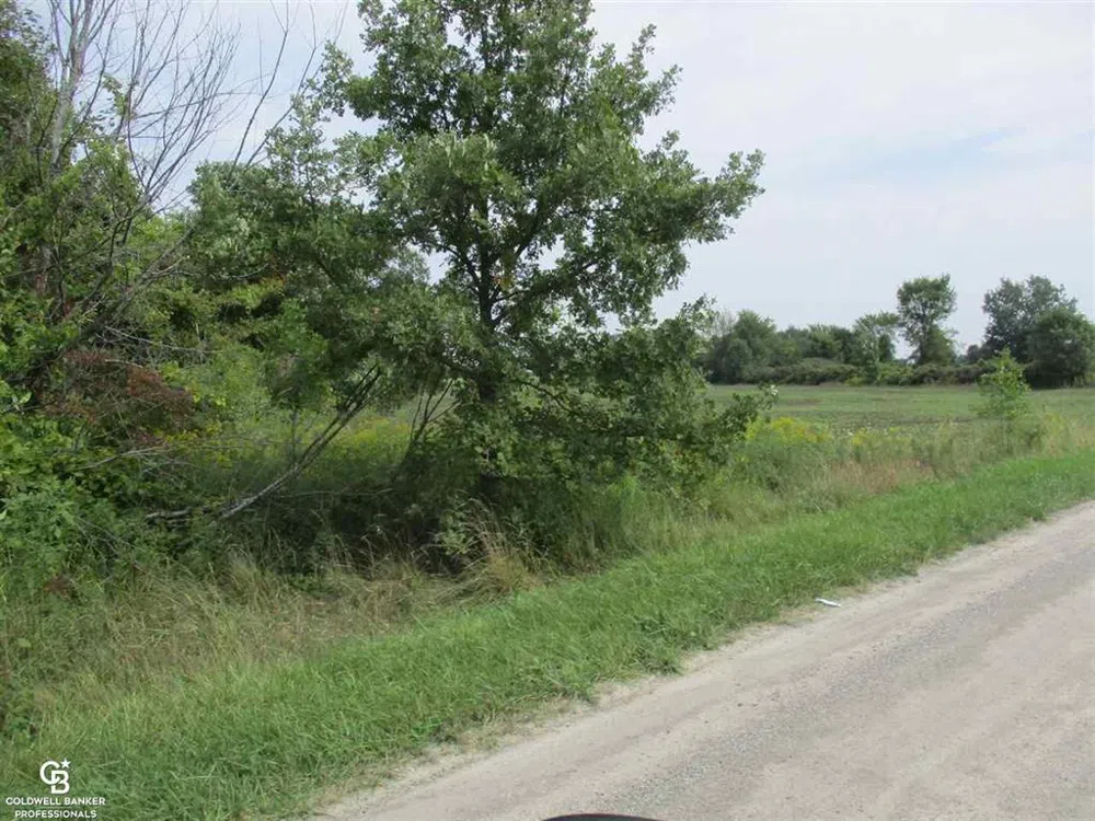 Angling Rd #6 Road Richmond Township, MI 48062
