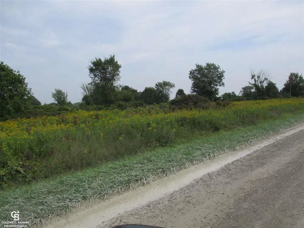 Angling Rd #6 Road Richmond Township, MI 48062