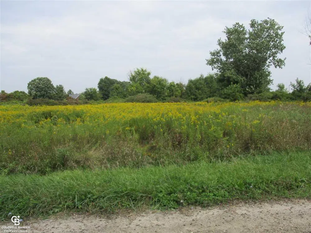Angling Rd #6 Road Richmond Township, MI 48062