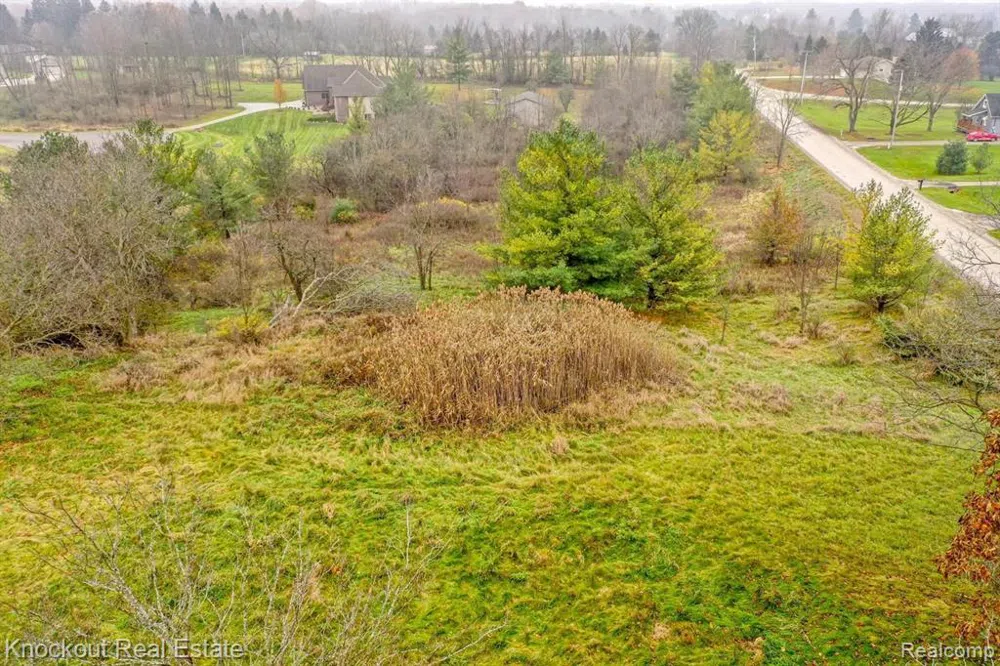 9338 ORCHARD VALLEY LANE Davison Township, MI 48423