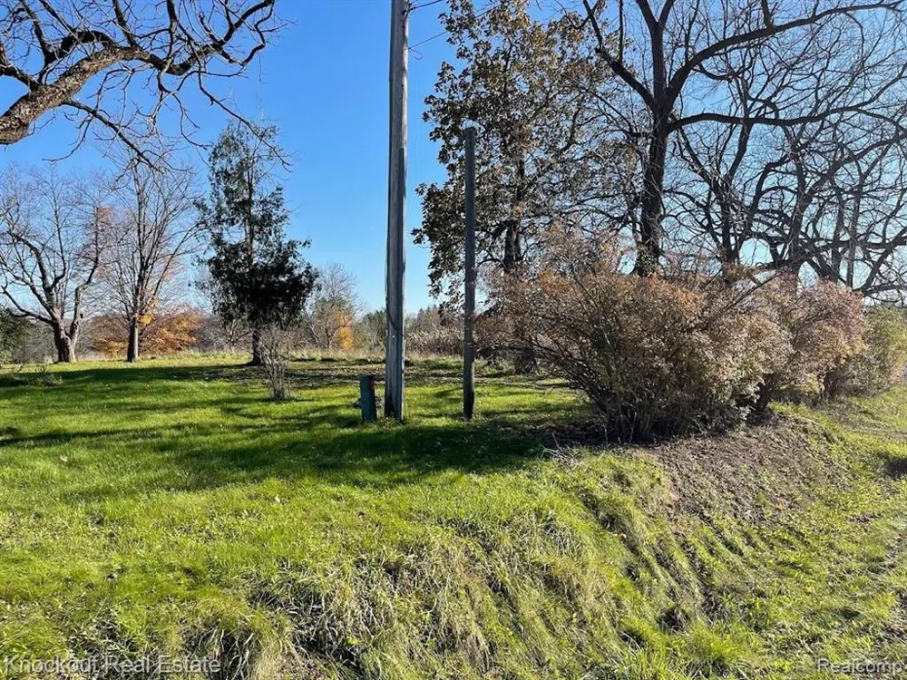 9338 ORCHARD VALLEY LANE Davison Township, MI 48423