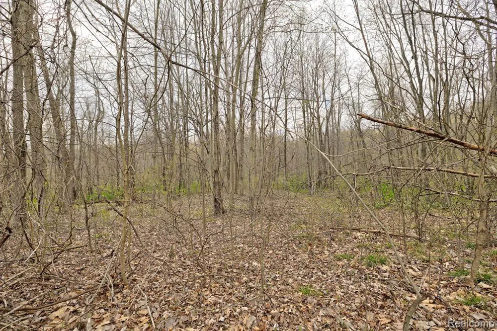 207 ASTOR KNOLLS DRIVE Groveland Township, MI 48462