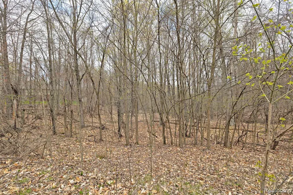311 DOGWOOD LANE Groveland Township, MI 48462