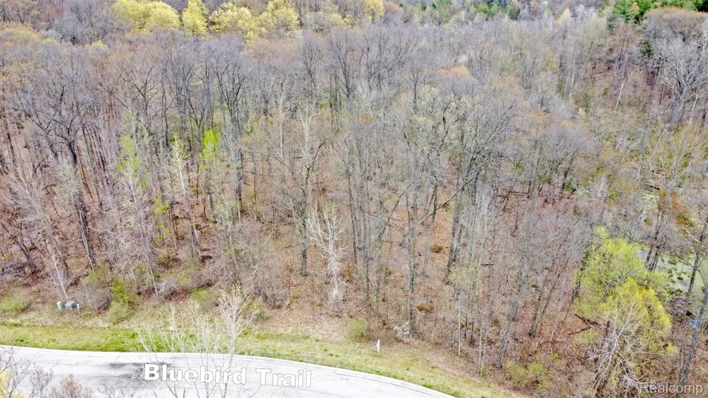 206 ASTOR KNOLLS DRIVE Groveland Township, MI 48462