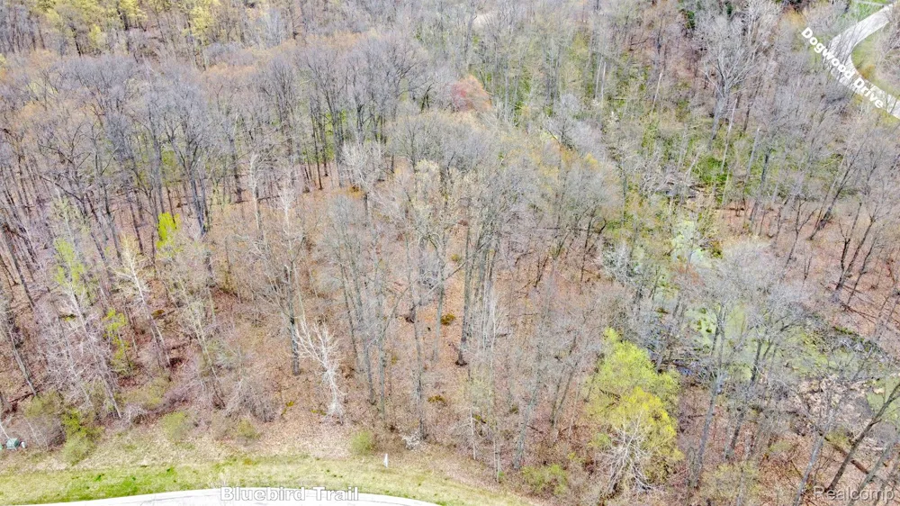 206 ASTOR KNOLLS DRIVE Groveland Township, MI 48462