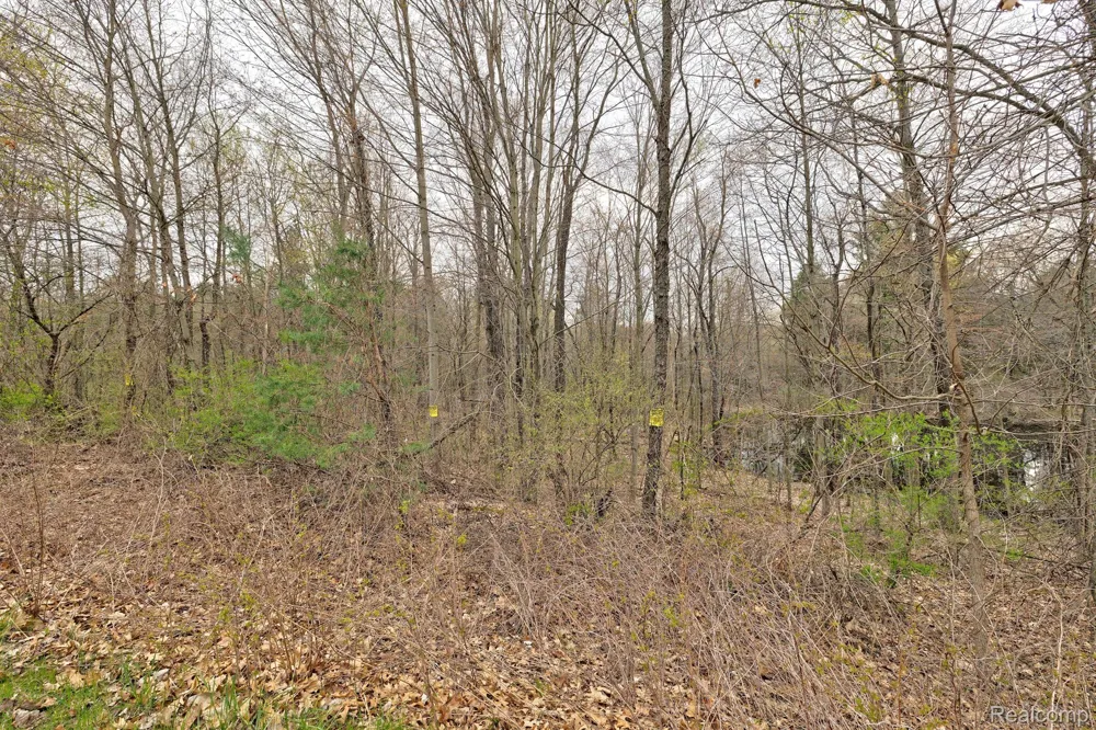 206 ASTOR KNOLLS DRIVE Groveland Township, MI 48462