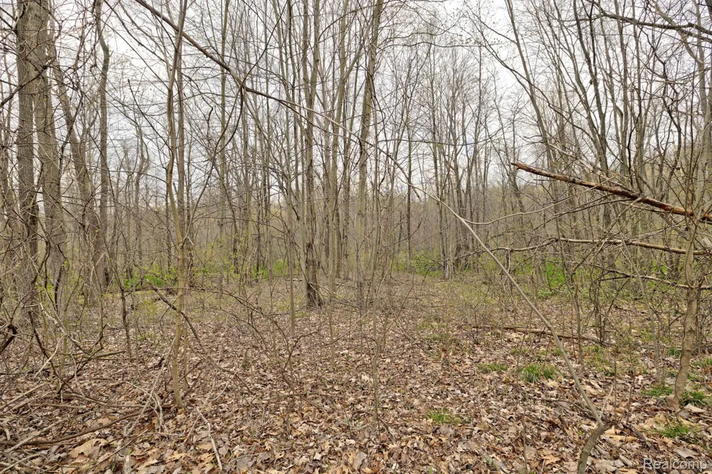 206 ASTOR KNOLLS DRIVE Groveland Township, MI 48462