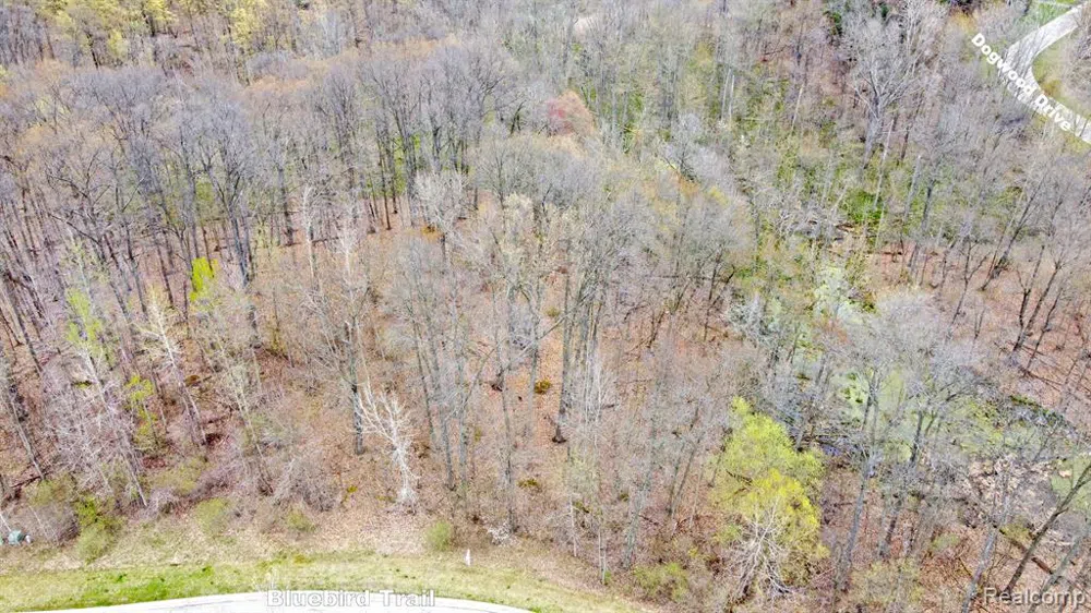 313 Dogwood Lane Groveland Township, MI 48462