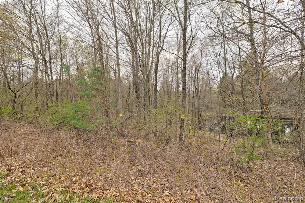 503 BLUEBIRD TRAIL Groveland Township, MI 48462