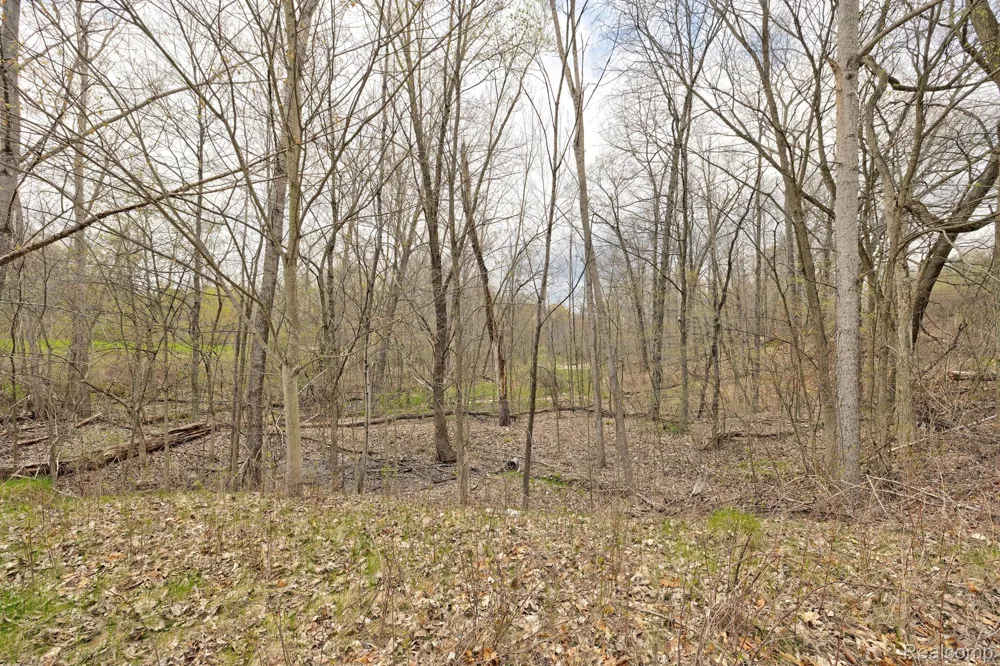 502 BLUEBIRD TRAIL Groveland Township, MI 48462