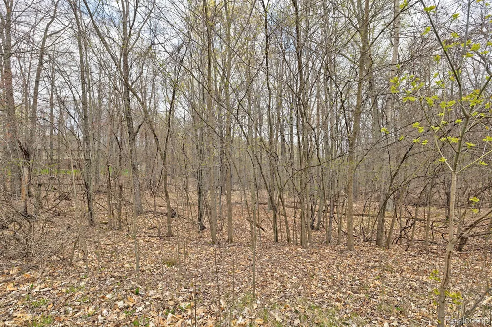 502 BLUEBIRD TRAIL Groveland Township, MI 48462