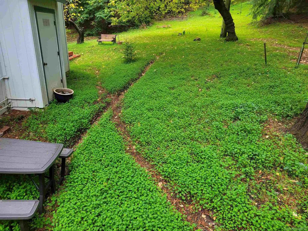 16885 Laurel Road Los Gatos, CA 95033