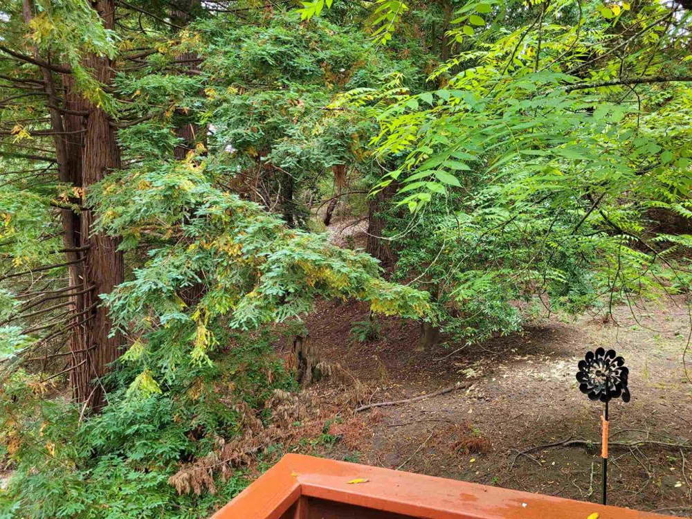 16885 Laurel Road Los Gatos, CA 95033