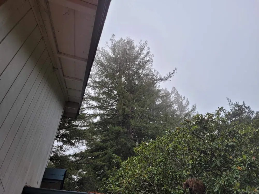 16885 Laurel Road Los Gatos, CA 95033