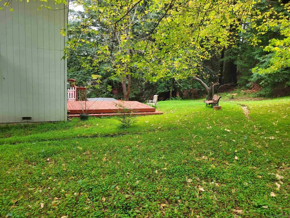 16885 Laurel Road Los Gatos, CA 95033