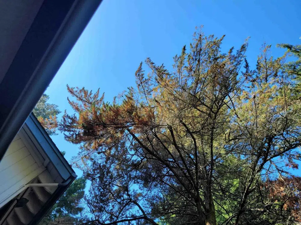 16885 Laurel Road Los Gatos, CA 95033