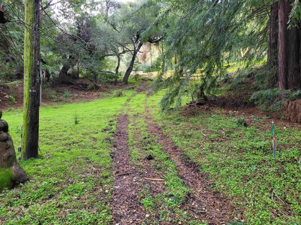 16885 Laurel Road Los Gatos, CA 95033
