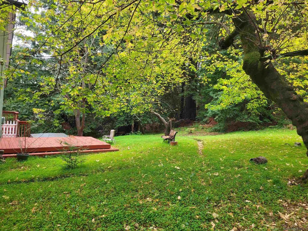 16885 Laurel Road Los Gatos, CA 95033