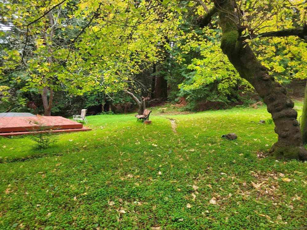 16885 Laurel Road Los Gatos, CA 95033