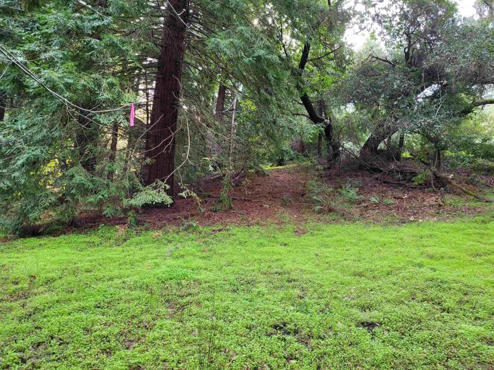16885 Laurel Road Los Gatos, CA 95033
