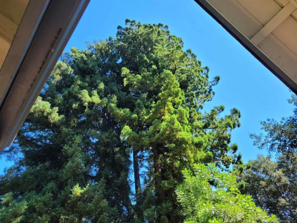 16885 Laurel Road Los Gatos, CA 95033
