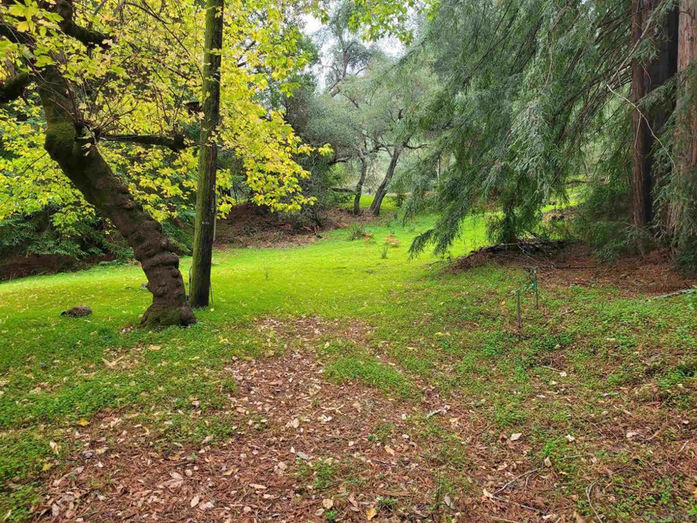 16885 Laurel Road Los Gatos, CA 95033