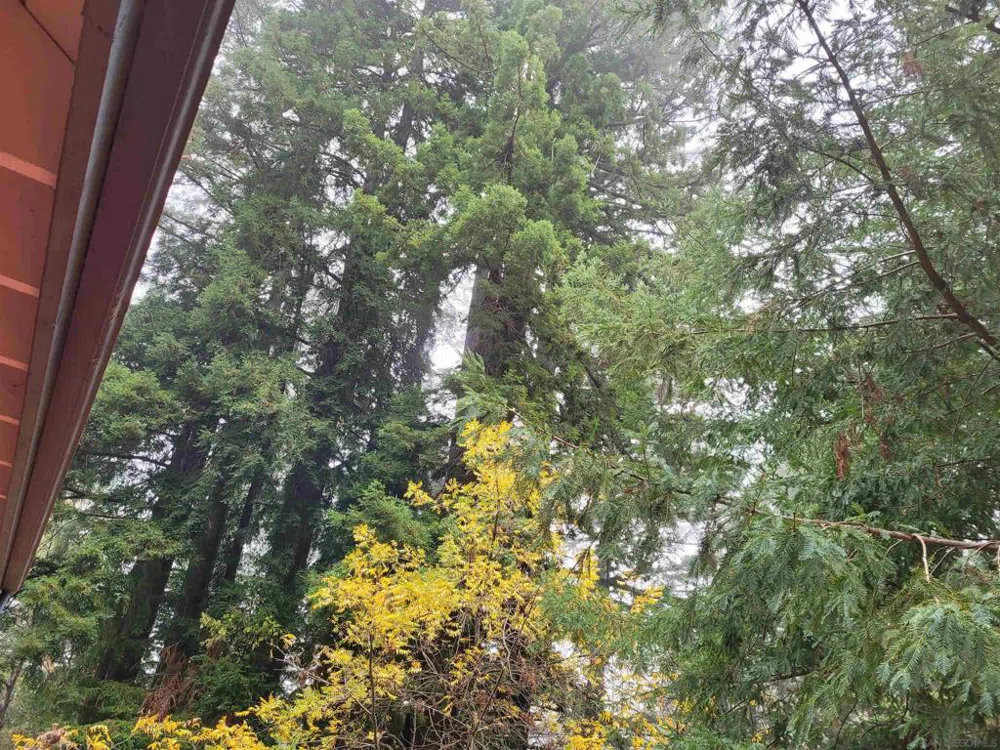16885 Laurel Road Los Gatos, CA 95033