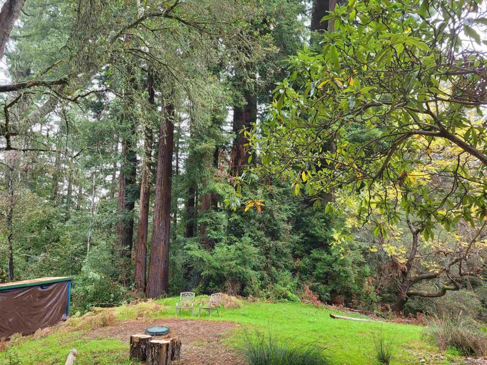 16885 Laurel Road Los Gatos, CA 95033