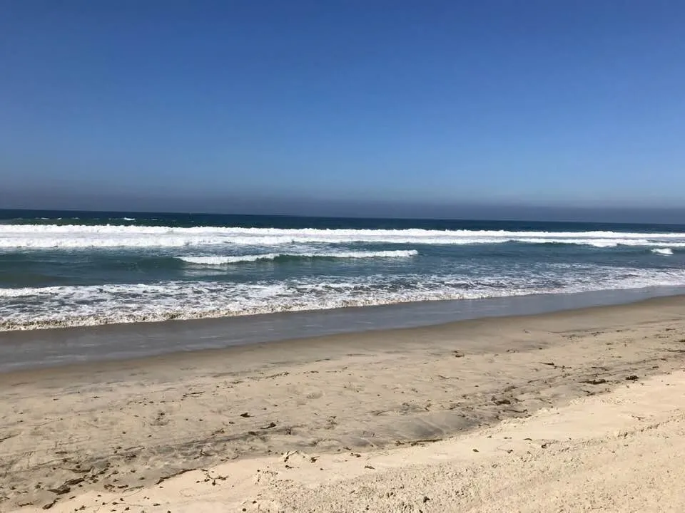 2847 Ocean Front Walk San Diego, CA 92109