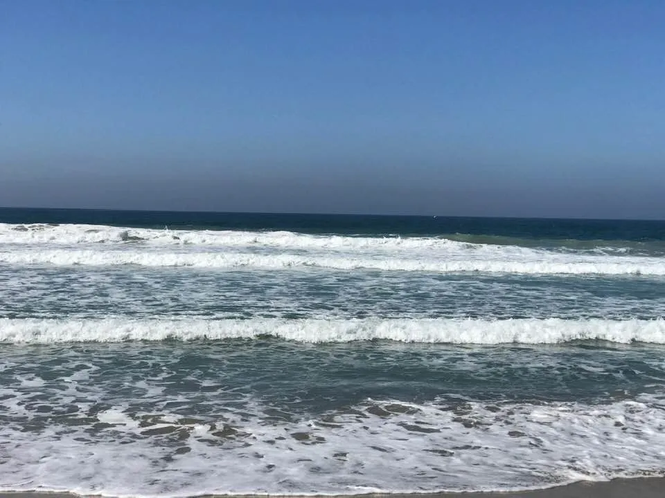 2847 Ocean Front Walk San Diego, CA 92109