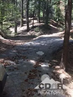 44530 San Pablo Lake Arrowhead, CA 92260