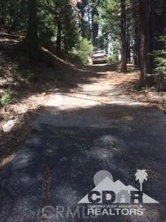 44530 San Pablo Lake Arrowhead, CA 92260