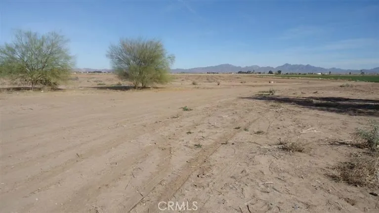 1006 Broadway Blythe, CA 92225