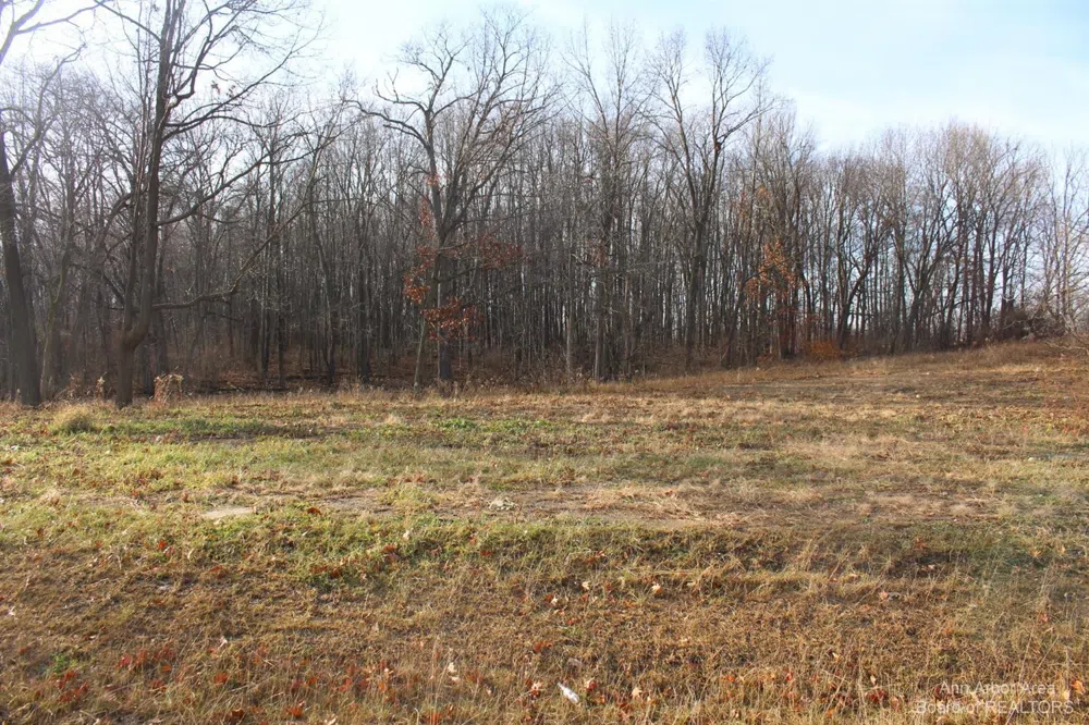 Lindsey Unit 10 Road Jackson, MI 49201