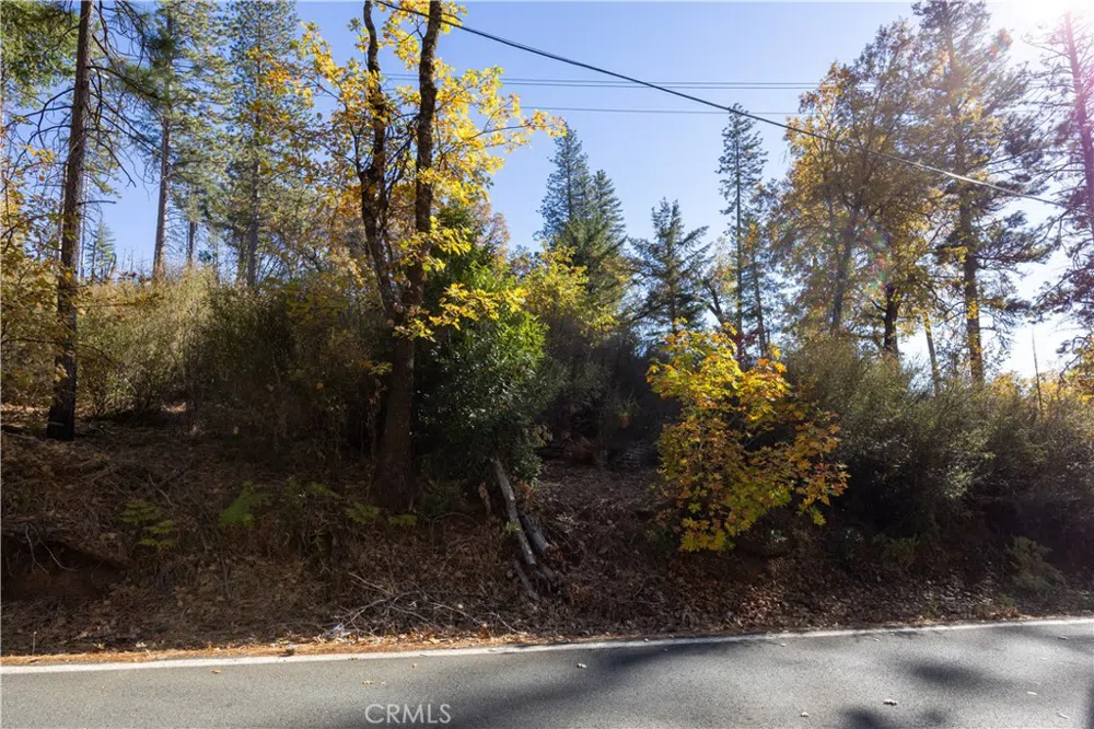 10981 Gifford Springs Road Cobb, CA 95426