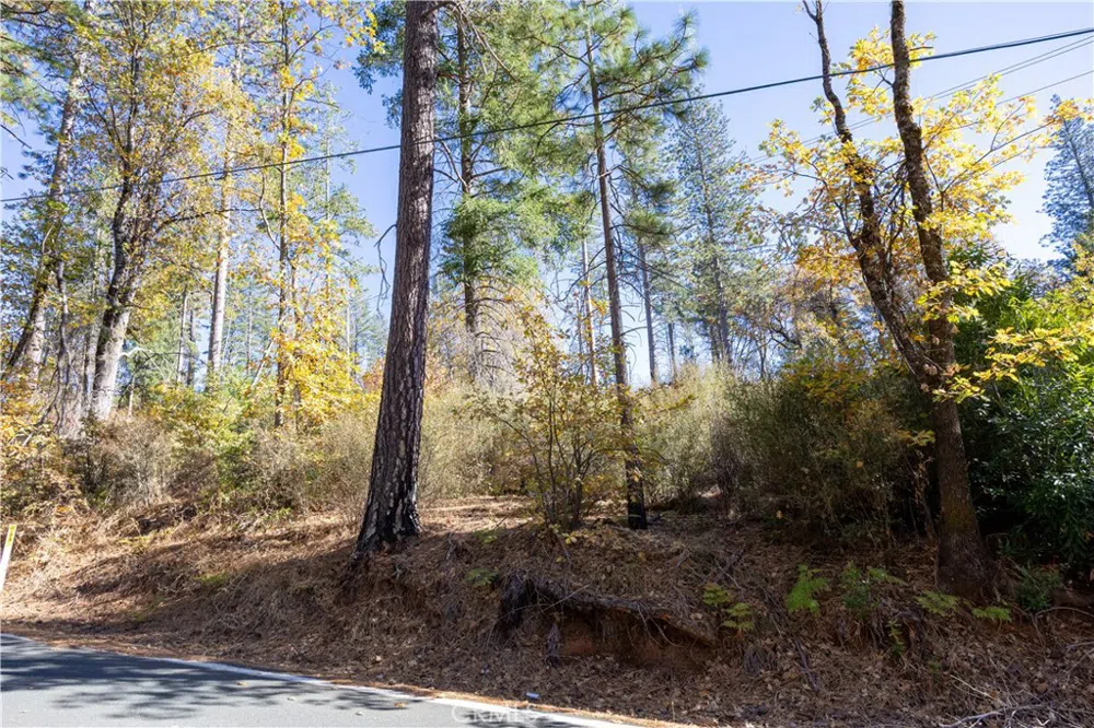 10981 Gifford Springs Road Cobb, CA 95426