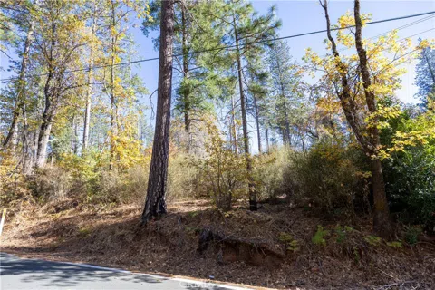 10981 Gifford Springs Road