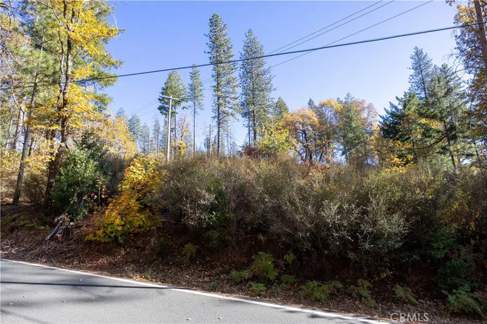 10971 Gifford Springs Road Cobb, CA 95426