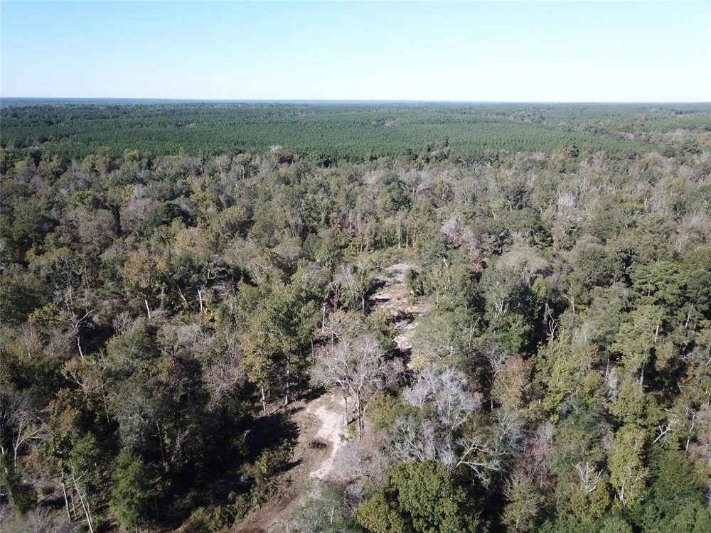 Off Evans Gann Road Hudson, TX 75904