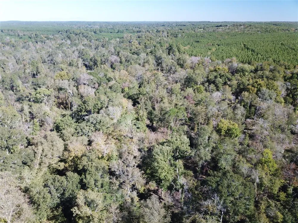 Off Evans Gann Road Hudson, TX 75904
