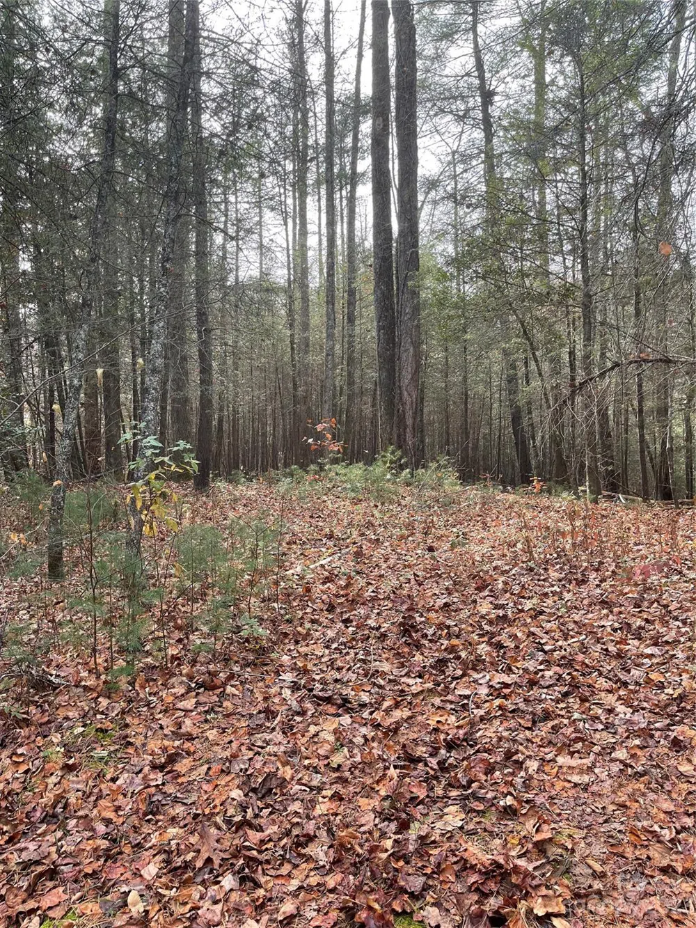 50 Mountain Escape Drive Zirconia, NC 28790