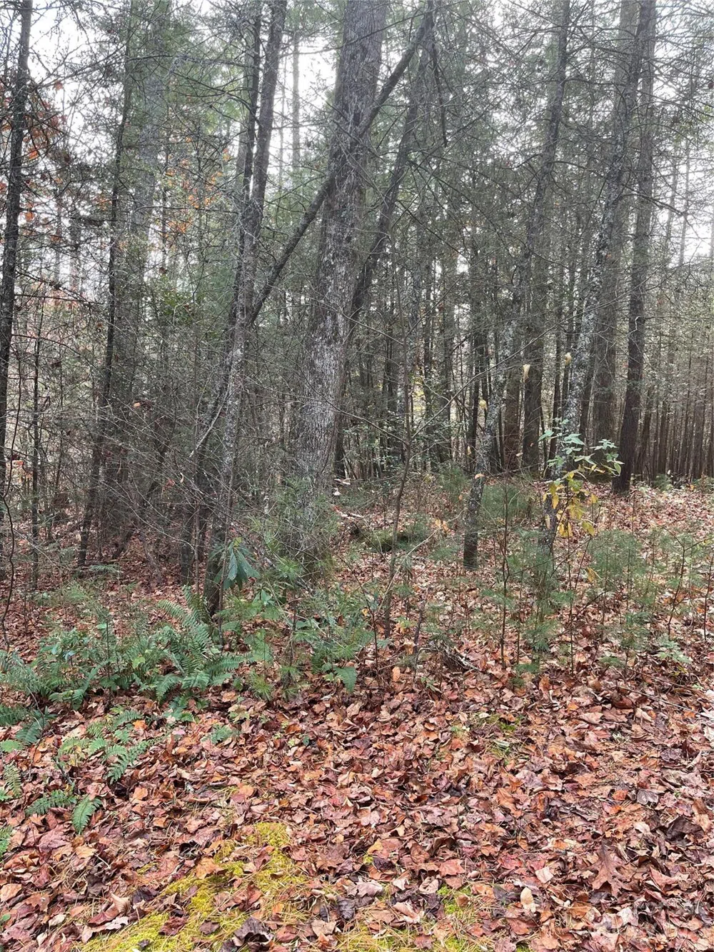 50 Mountain Escape Drive Zirconia, NC 28790